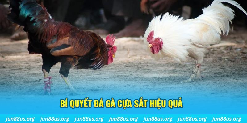 soxo66 nổ hũ may mắn