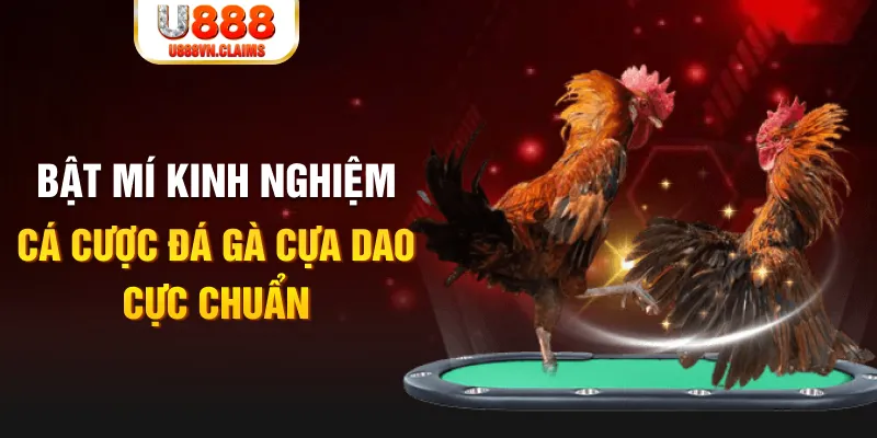 soxo66 casino hồ tràm có cho người việt vào không