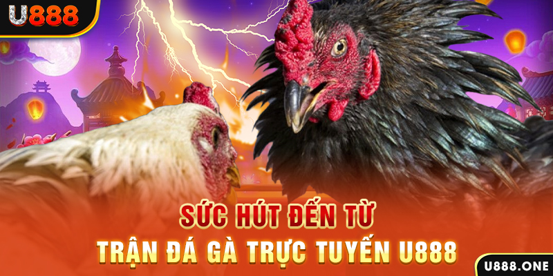 soxo66 đăng nhập poker 2024