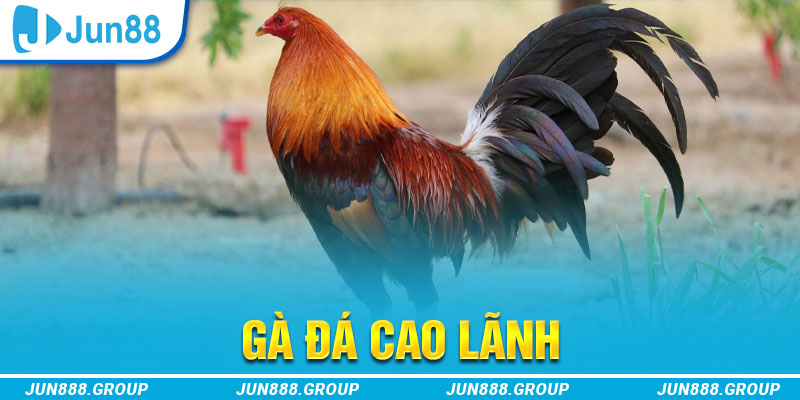 soxo66 tai game vua bai ve may tinh