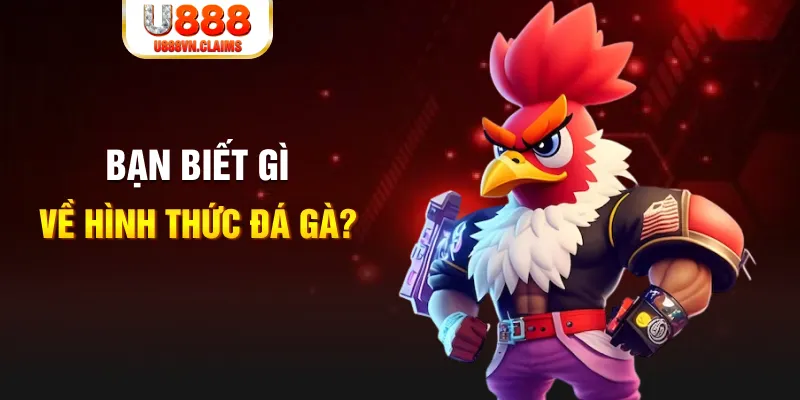soxo66 đăng nhập liêng tặng tiền