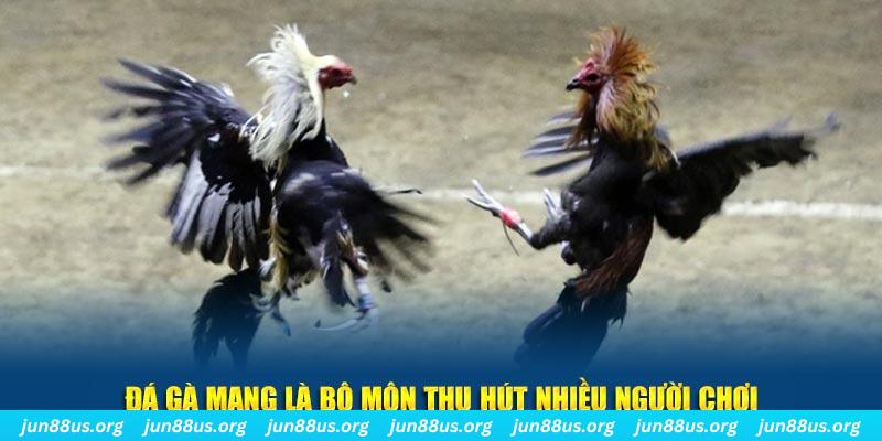 soxo66 đăng nhập sòng bạc số 1