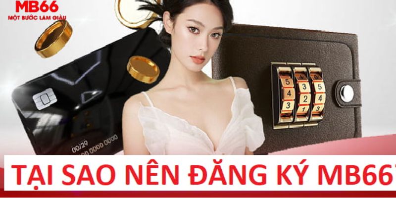 soxo66 trực tiếp gà chọi c1