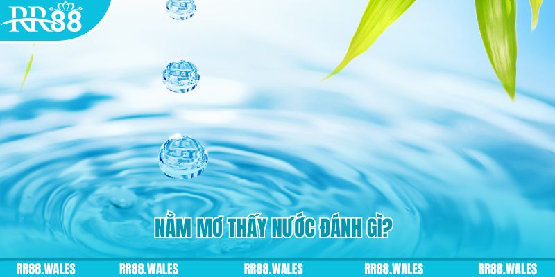 soxo66 xổ số trực tiếp miền bắc