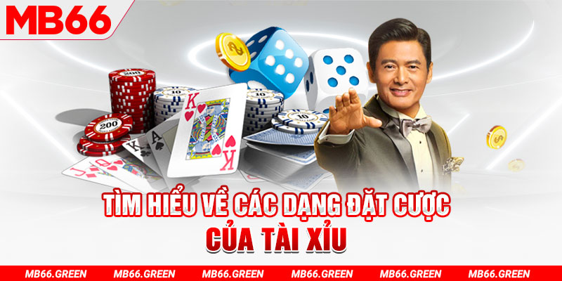 soxo66 what is a casino loyalty program