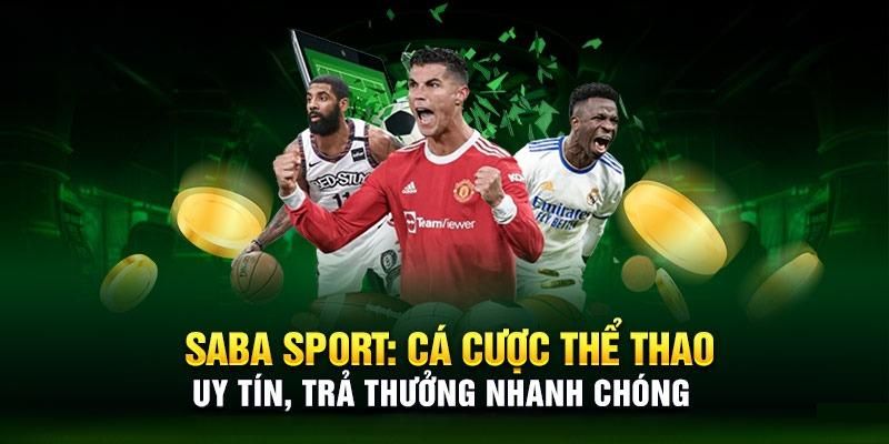 soxo66 cá cược thể thao là gì