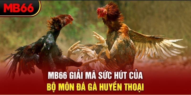 soxo66 xổ số đài bắc