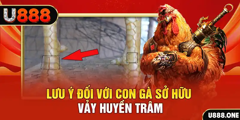soxo66 tải game đánh bài tiến lên miền nam về máy tính