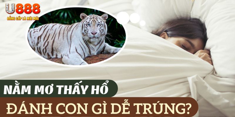 soxo66 nohu .mx nổ hủ là gì