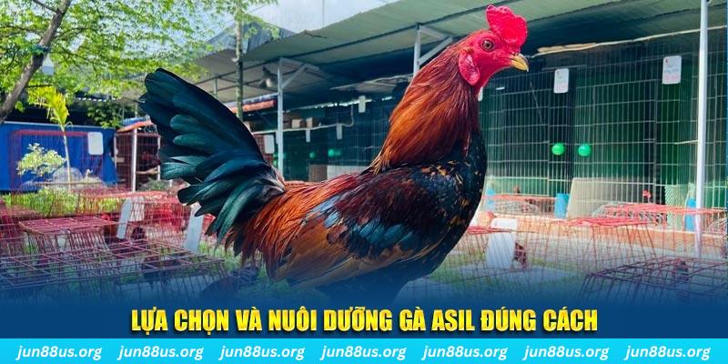 nổ hũ thần tài là gì