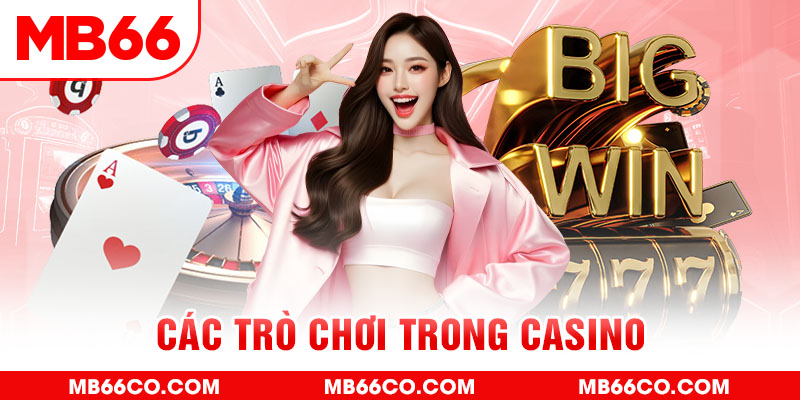 soxo66 chổi lông gà