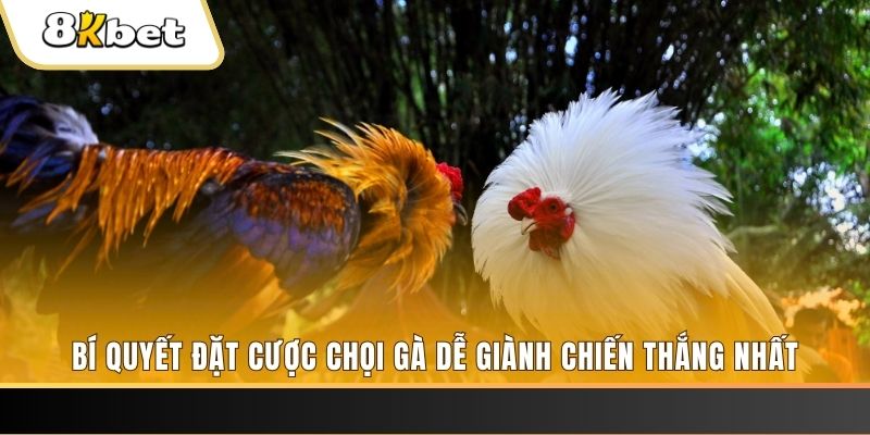 soxo66 nổ hũ chơi như thế nào