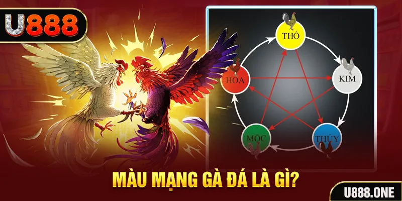 soxo66 V8 Game Bài 3d