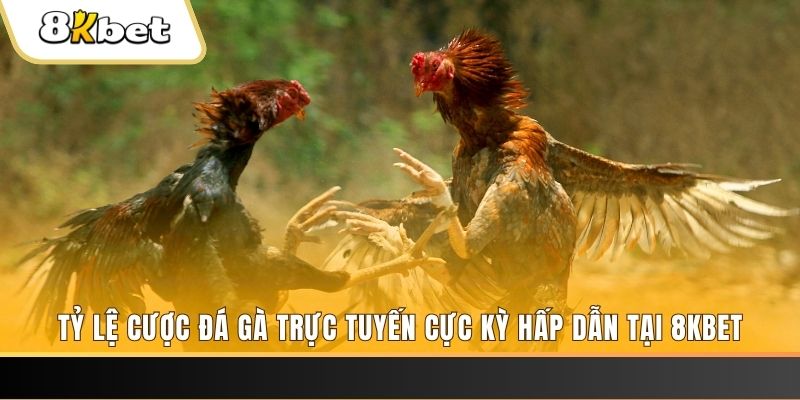 soxo66 xổ số miền bắc chủ nhật