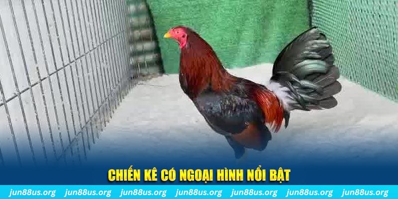 soxo66 qq88 bắn cá