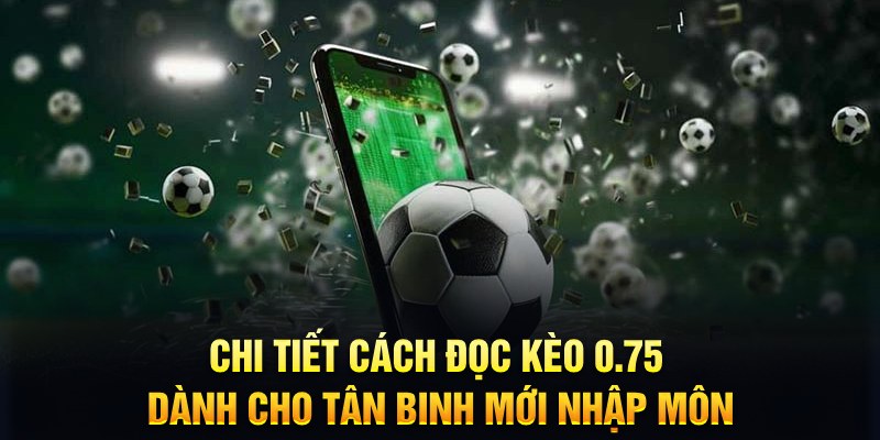 soxo66 Xì tố