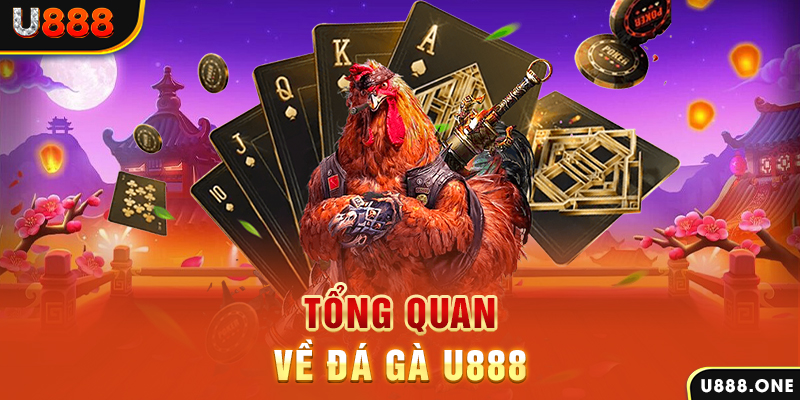 soxo66 xổ số vietlott