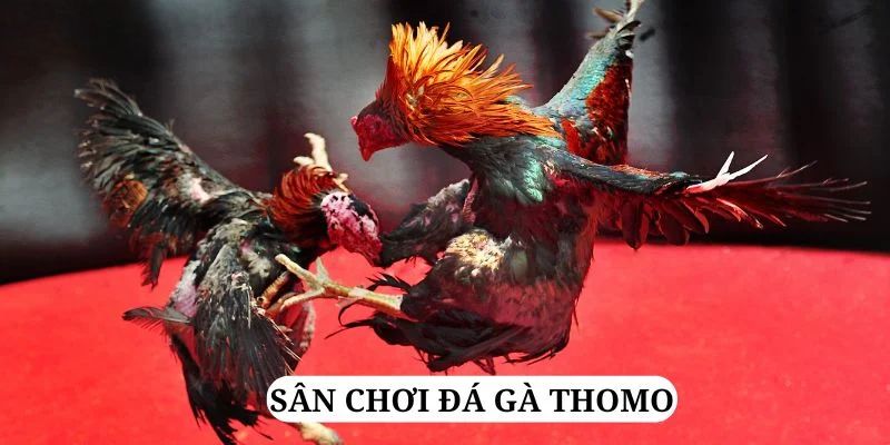 soxo66 quay nổ hũ là gì